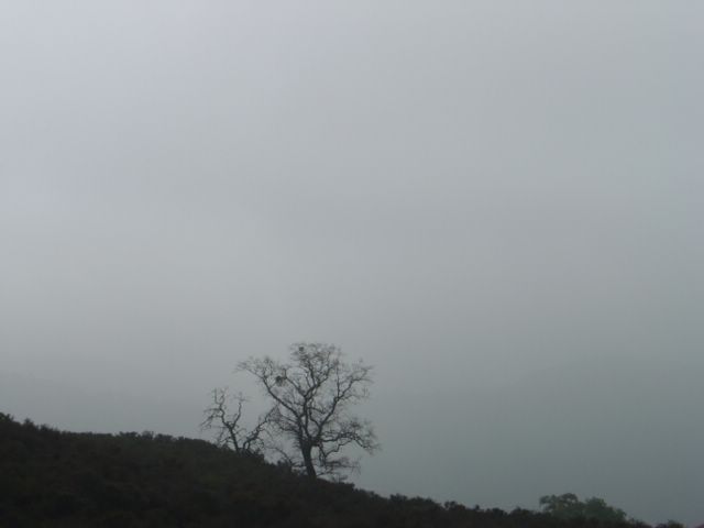 dsc03145.jpg (large) bytes