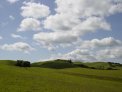 briones_hills