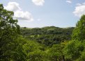 dsc00359