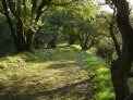 dsc02668