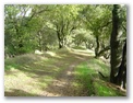 dsc02433