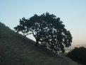 dsc02066