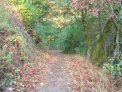 dsc01781