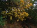 dsc01831