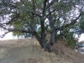 dsc01188