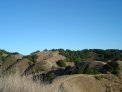 dsc01294
