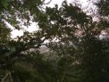 dsc00670