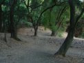 dsc00718