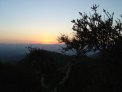 dsc00861
