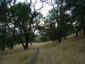 dsc00871