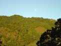 dsc00590