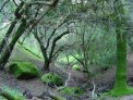 dsc03362