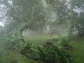dsc03019