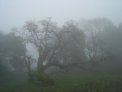 dsc03025