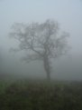 dsc03027