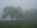 dsc03029