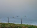 dsc03921