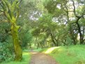 dsc03927