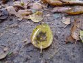 dsc03931