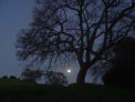 dsc03694