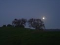 dsc03696