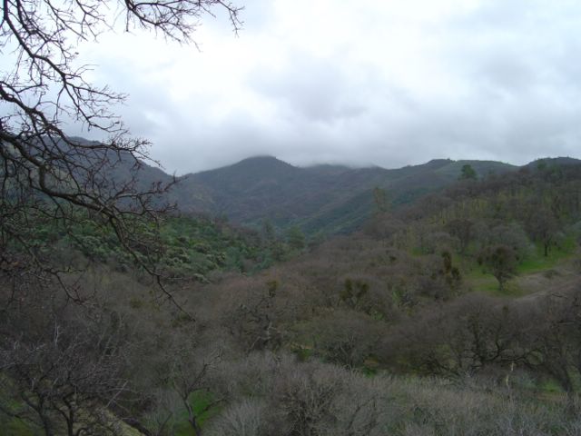 dsc03285.jpg