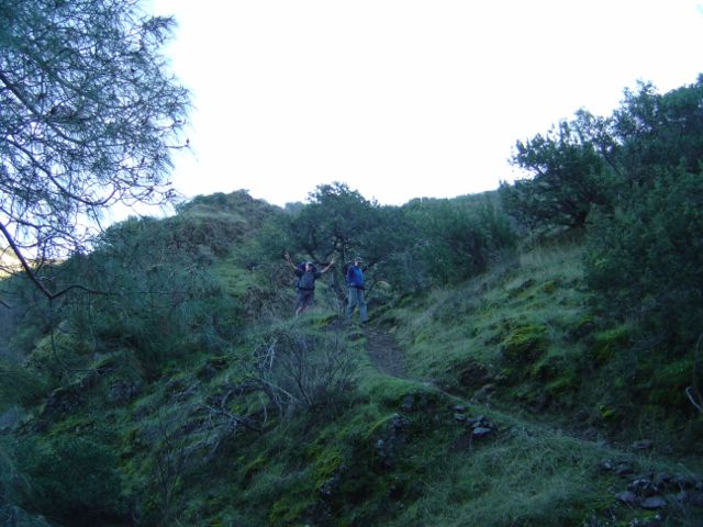 dsc03307.jpg
