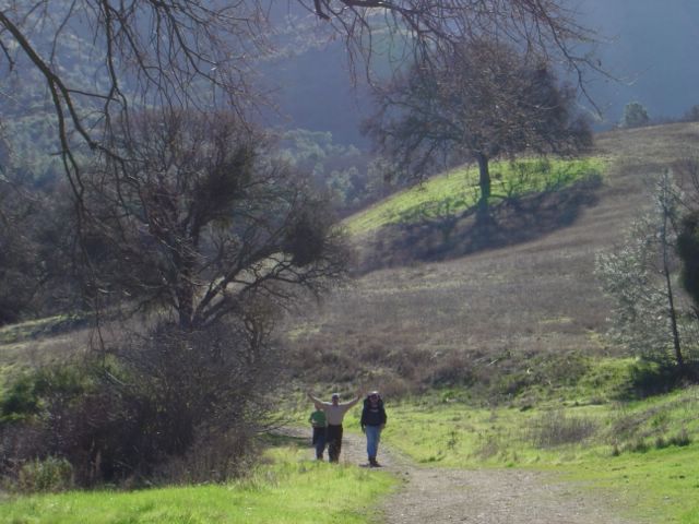dsc03334.jpg