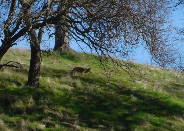 dsc03336.jpg